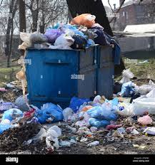 Best Yard Waste Removal  in Bristol, CT